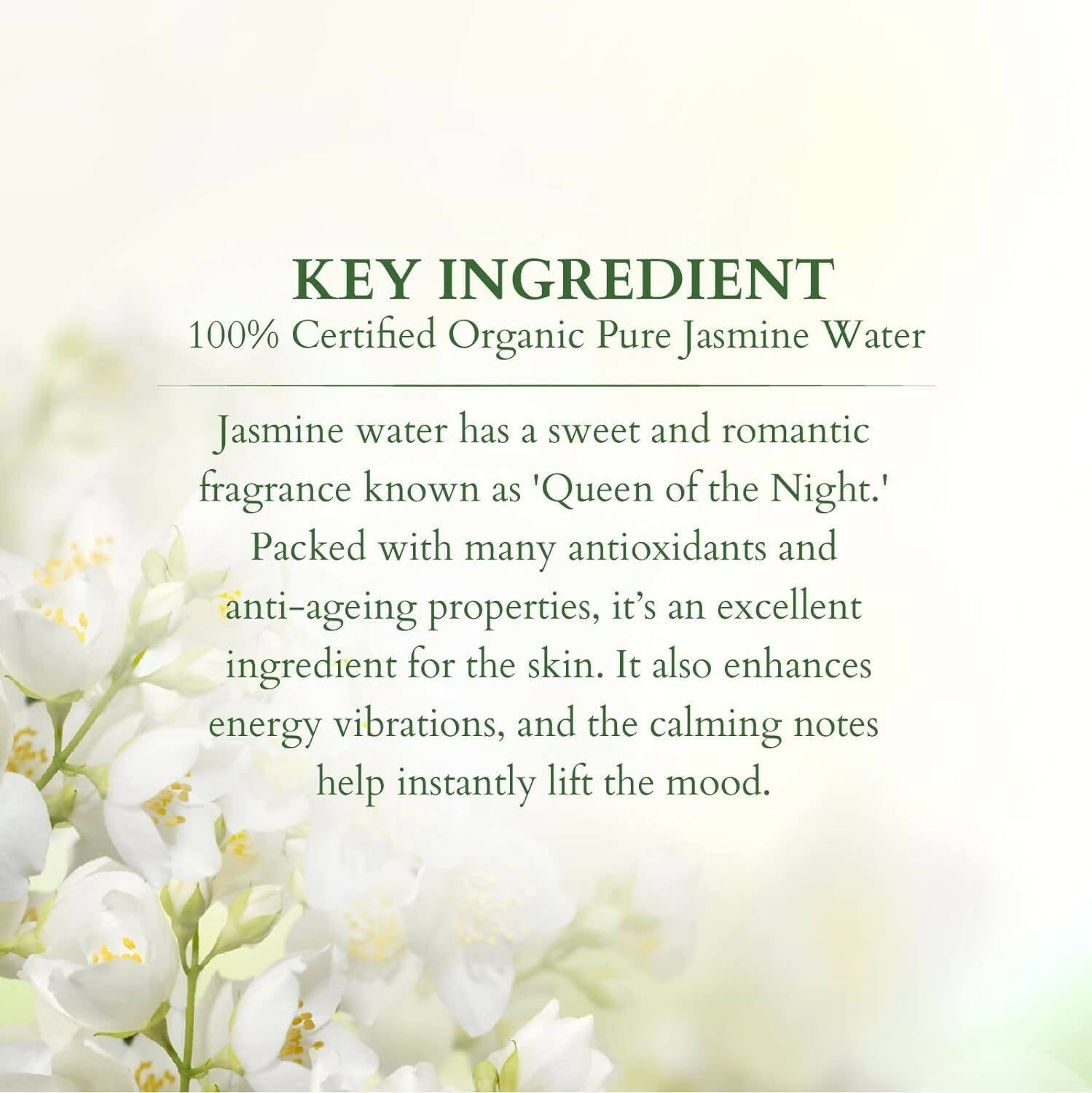 Lotus Organics+ 100% Pure Jasmine Floral Water - Distacart