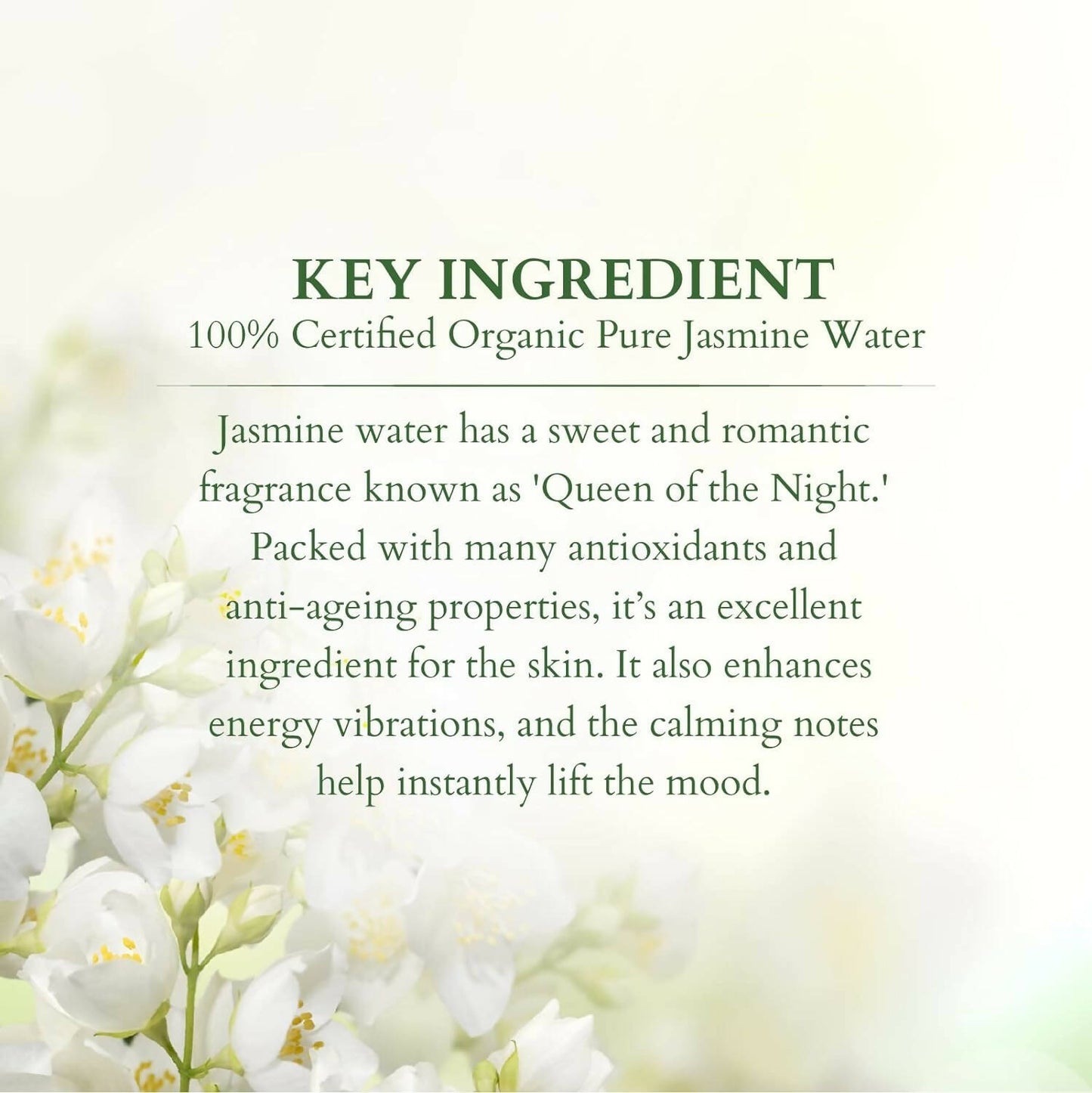 Lotus Organics+ 100% Pure Jasmine Floral Water - Distacart