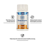 Thumbnail for Biogetica Holoram Endokrium - Distacart
