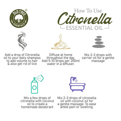 Old Tree Citronella Essential Oil - Distacart
