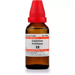 Thumbnail for Dr. Willmar Schwabe India Eupatorium Perfoliatum Dilution - Distacart