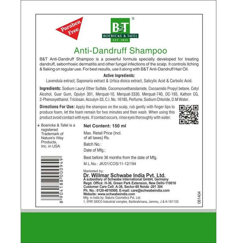 Boericke & Tafel Anti- Dandruff Shampoo - Distacart