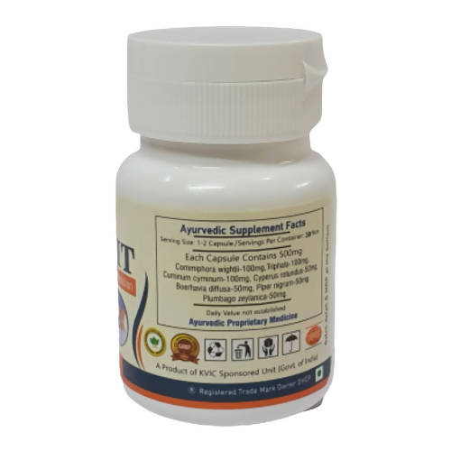 Deep Ayurveda Obesit 500mg Veg Capsules - Distacart