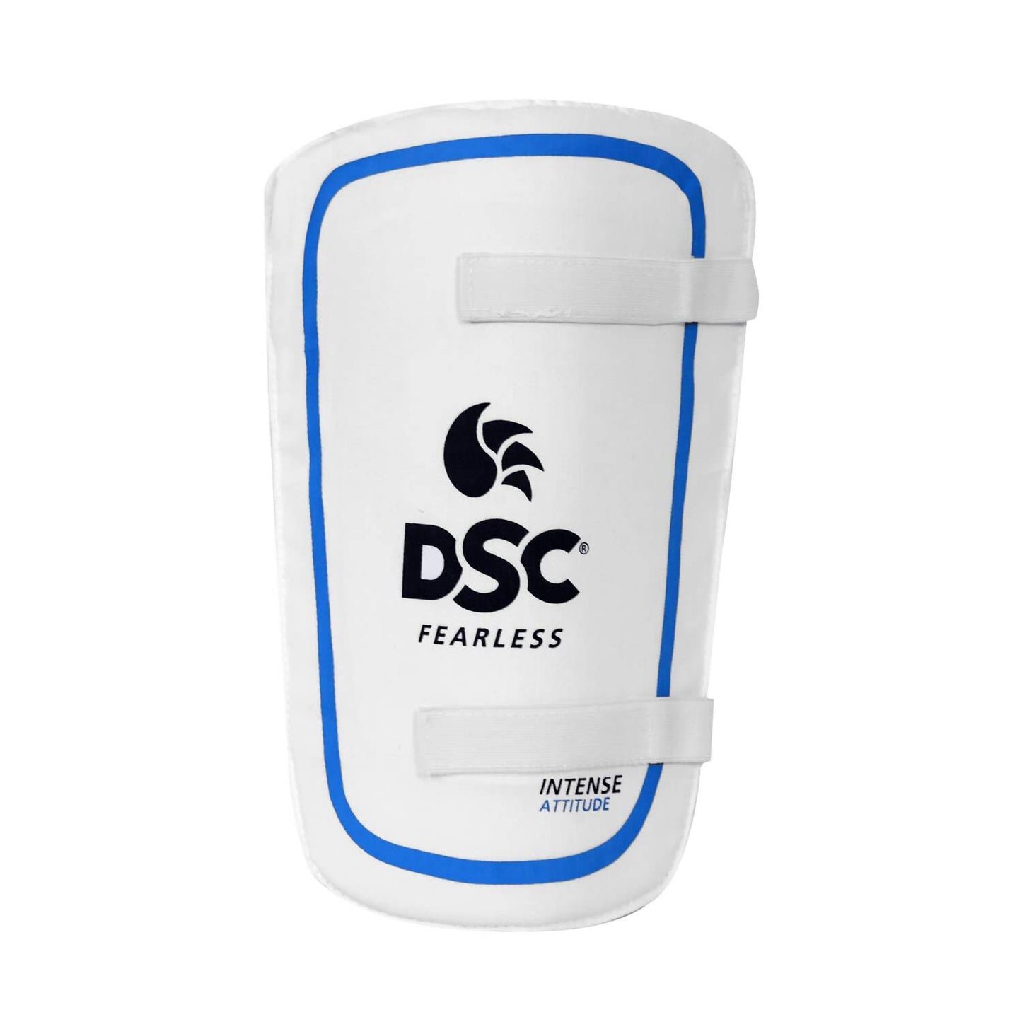 DSC Economy Kashmir Willow Cricket Kit (Size 5) - Distacart