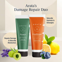 Thumbnail for Arata Damage Repair Duo