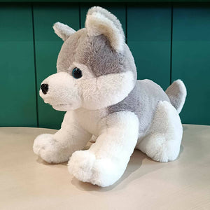 Webby Plush Husky Dog Stuffed Animal Puppy Soft Toy-Grey - Distacart