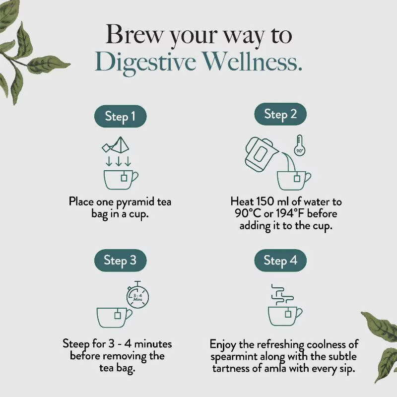 Wellbeing Nutrition Digest Green Tea - Distacart