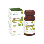 Thumbnail for Dhootapapeshwar Gokshura Tablets - Distacart