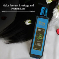 Thumbnail for Blue Nectar Anti Frizz Hair Shampoo with Green Tea - Distacart