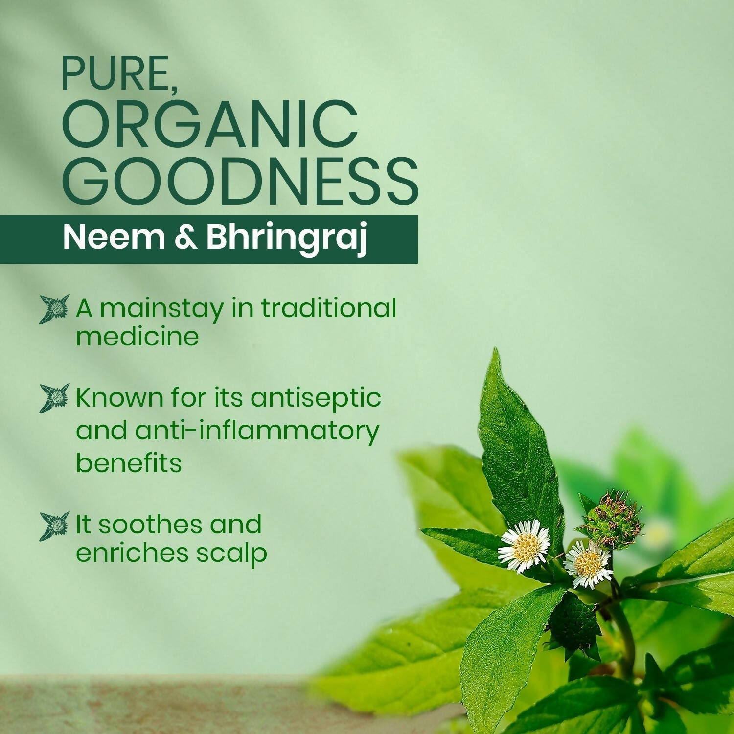 Kesh King Organics - Organic Neem Shampoo With Bhringraj - Distacart