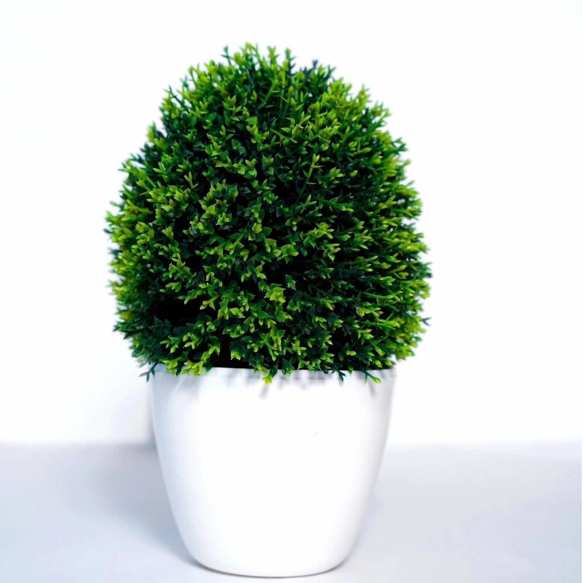 Chahat Decorative Artificial plant For Home