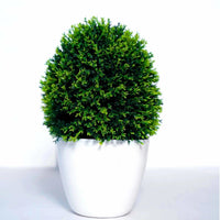 Thumbnail for Chahat Decorative Artificial plant For Home