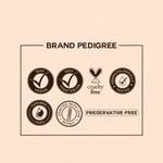 Thumbnail for Colorbar Make Up Kit Dream Girl - Distacart