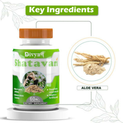 Divya Shree Shatavari Capsules - Distacart