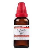 Thumbnail for Dr. Willmar Schwabe India Brachyglottis Repens Dilution