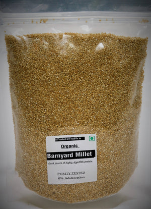 Freshon Barnyard Millet Whole Grain Flour - Distacart