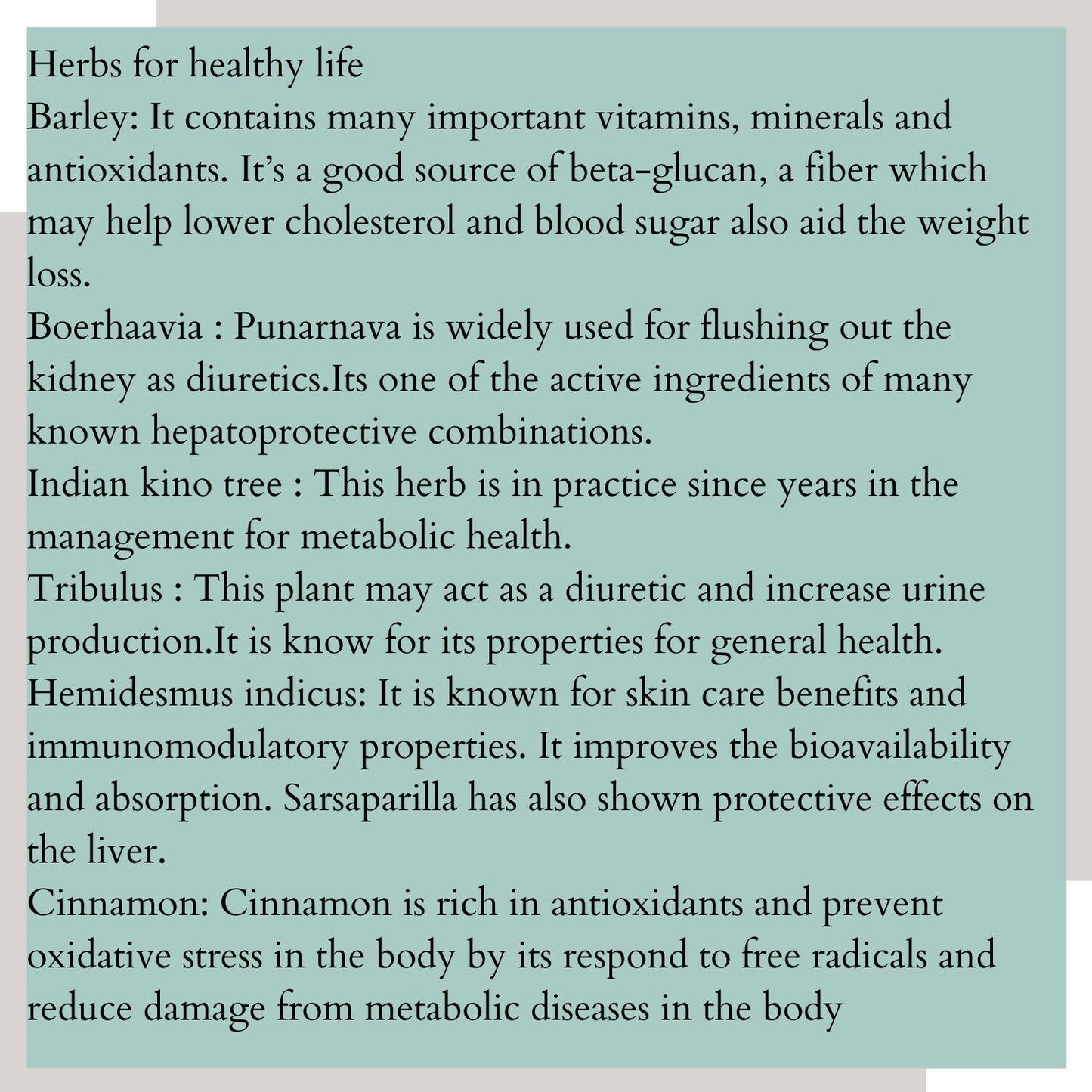Satvi Wellness Detoxi - Herbal Detox Mix - Distacart
