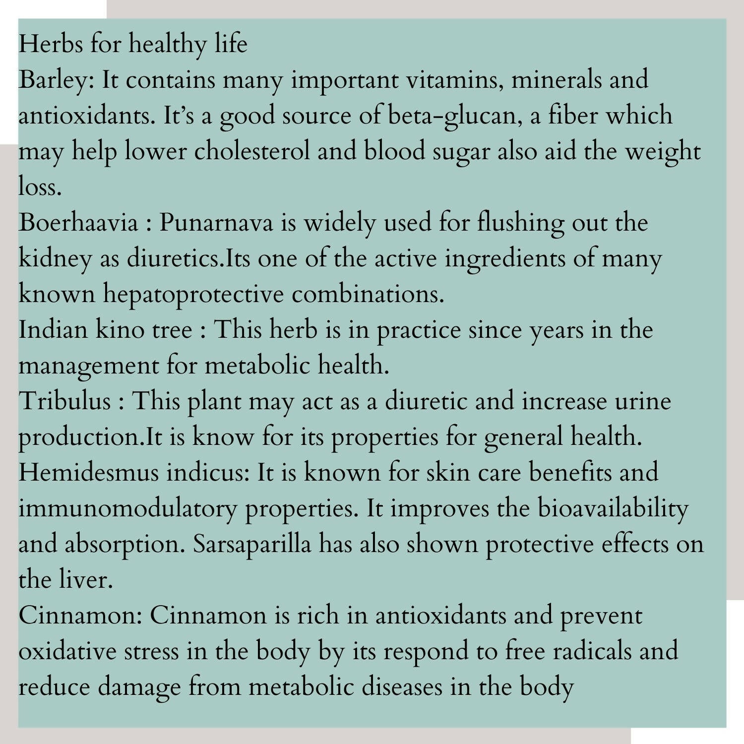 Satvi Wellness Detoxi - Herbal Detox Mix - Distacart