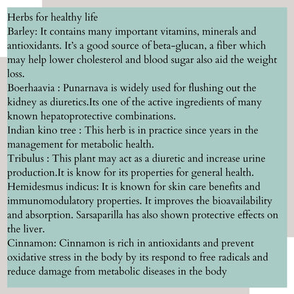 Satvi Wellness Detoxi - Herbal Detox Mix - Distacart