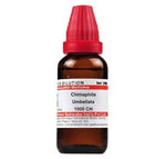 Thumbnail for Dr. Willmar Schwabe India Chimaphila Umbellata Dilution 1000 ch