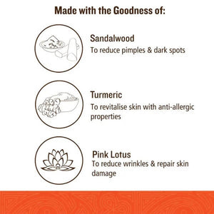 Soultree Ayurvedic Beauty Benefit Cream - Hazel Dew Key Ingredients
