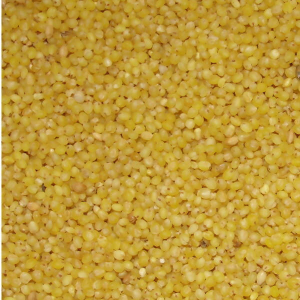 Freshon Foxtail Millets Organic - Unpolished