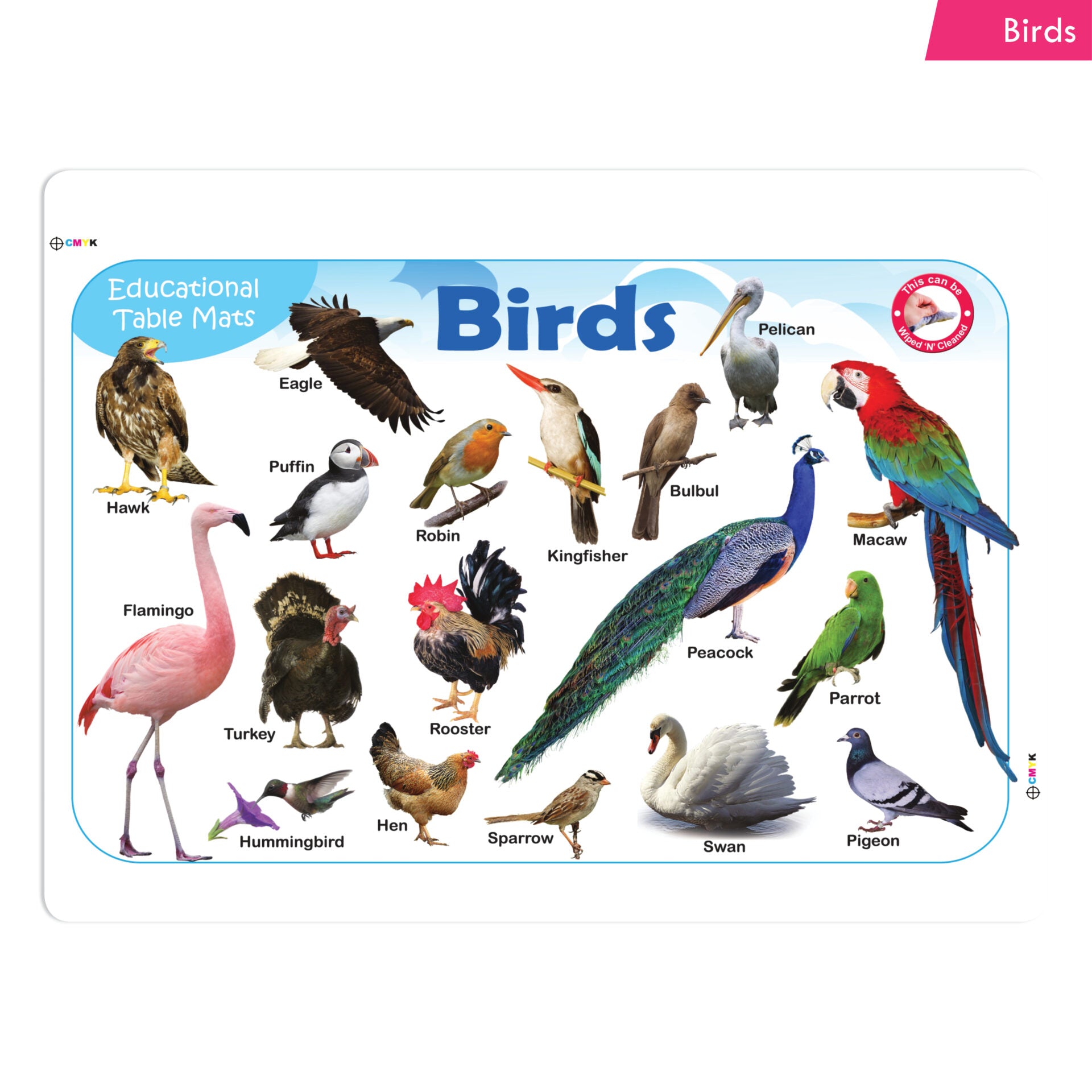 Jolly Kids Picture Learning Educational Table Mat for Kids Set of 8| Ages 2-6 Years| Laminated Picture learning Sheet - Distacart