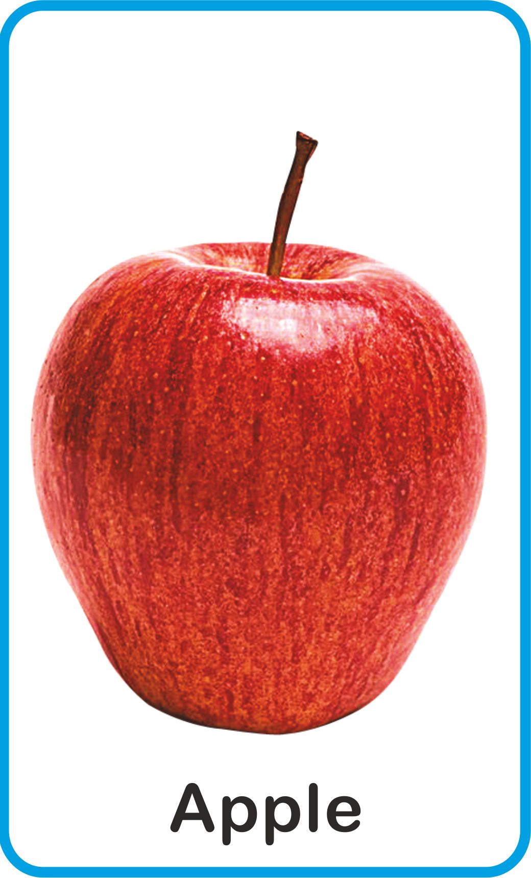 Jolly Kids Flash Card - Fruits - Distacart