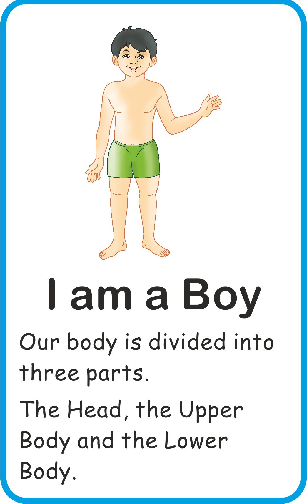 Jolly Kids Flash Card - My Body Parts - Distacart
