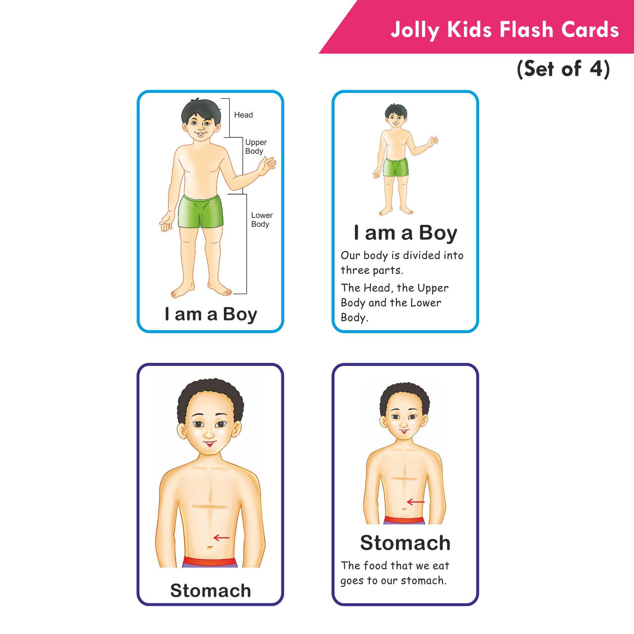 Jolly Kids Pre-school Learning Flash Cards for Kids| Set of 4| 32 Cards on Each Pack| Ages 1-6 Years - Distacart