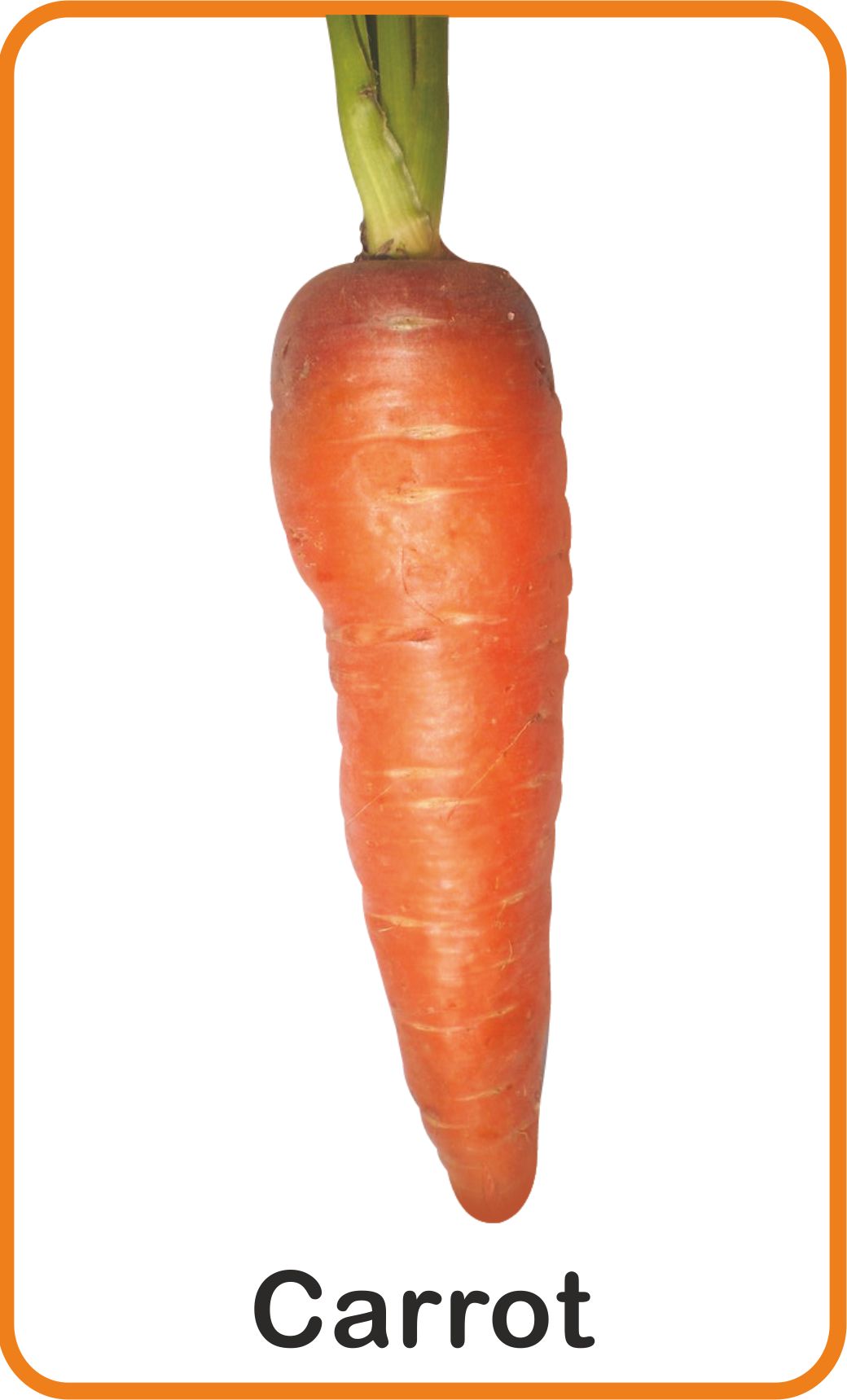 Jolly Kids Flash Card - Vegetables - Distacart