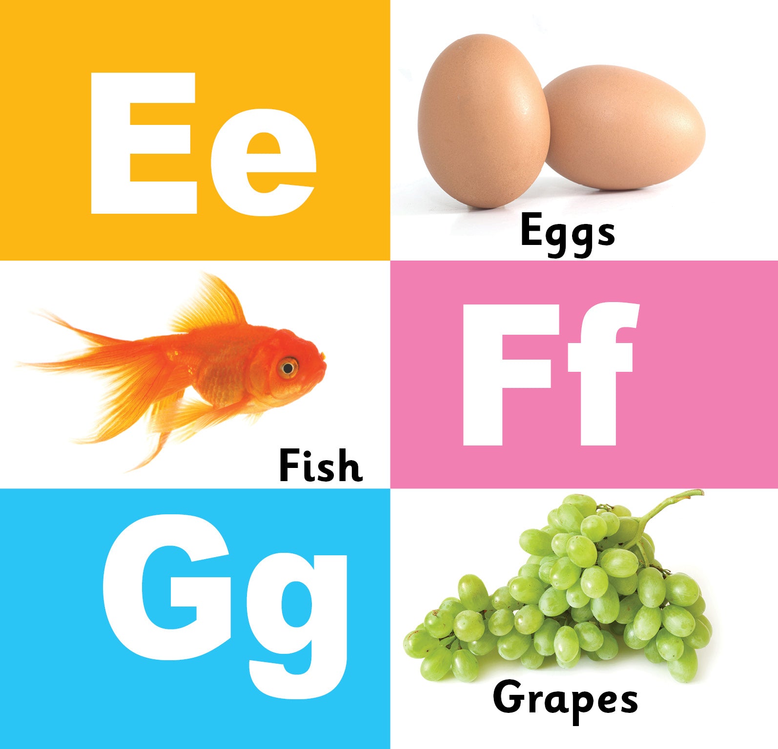 Jolly Kids Touch and Feel Board Books for Little Ones| Ages 1-4 Years| Set of 4| ABC| Numbers| My First Words| Animals - Distacart