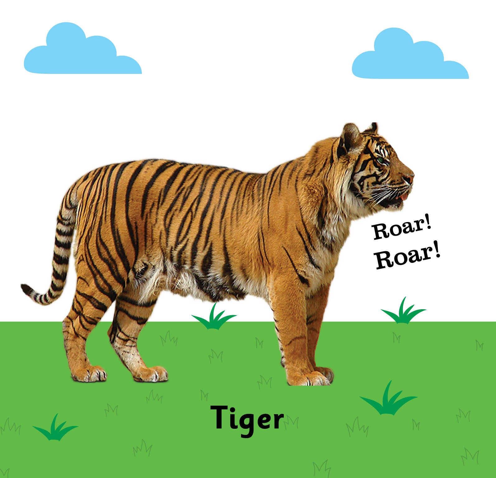 Jolly Kids Touch and Feel Board Book: Animals| Picture Book for Kids Ages 1-4 Years| Touch & Feel Activity Book - Distacart