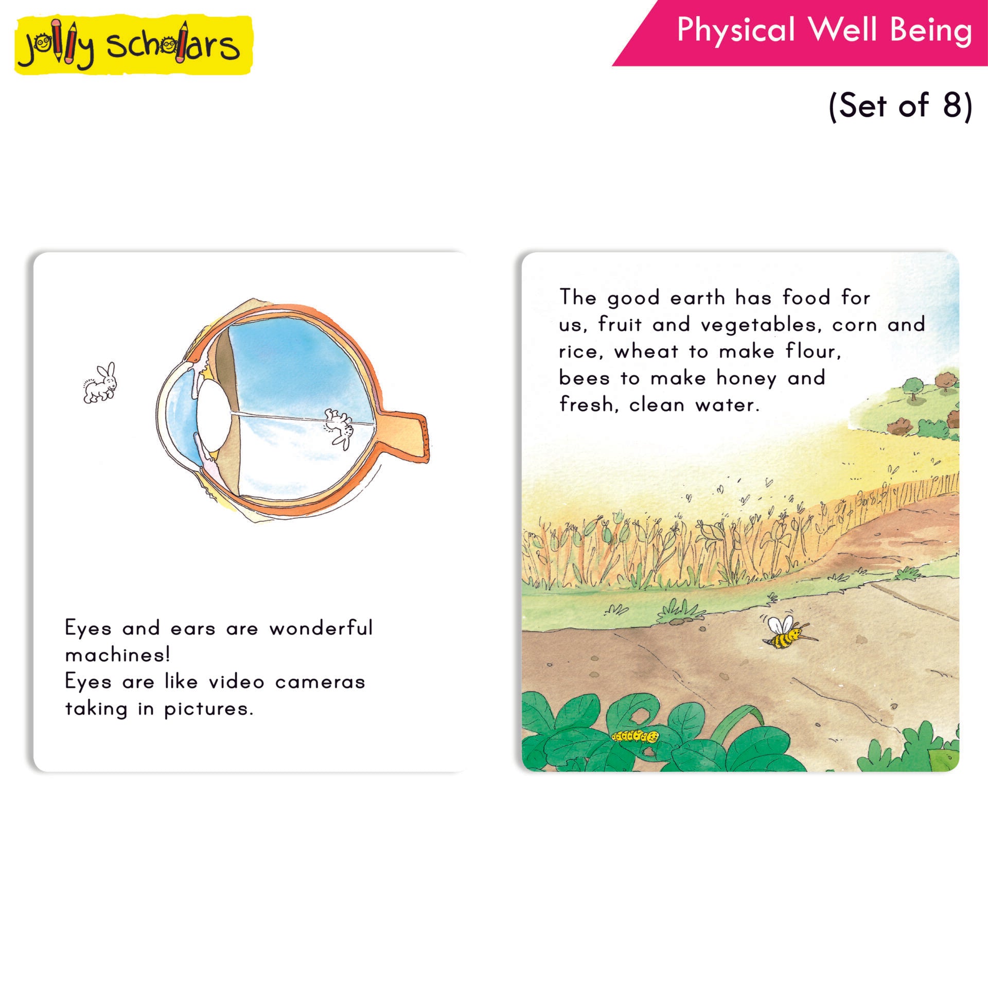 Jolly Scholars Physical Well Being Story Books Set of 8| Promote Physical Health Activity Books Ages 3-6 Years - Distacart