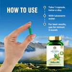 Thumbnail for Search Wellness Shallaki Capsules - Distacart