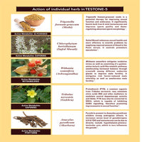 Thumbnail for Sewfa Naturals Teston-5 Capsules - Distacart