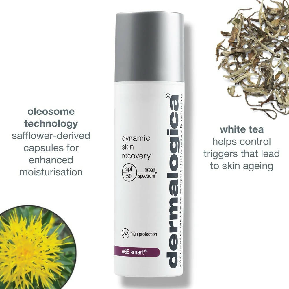 Dermalogica Dynamic Skin Recovery SPF 50 Face Moisturizer & Sunscreen - Distacart