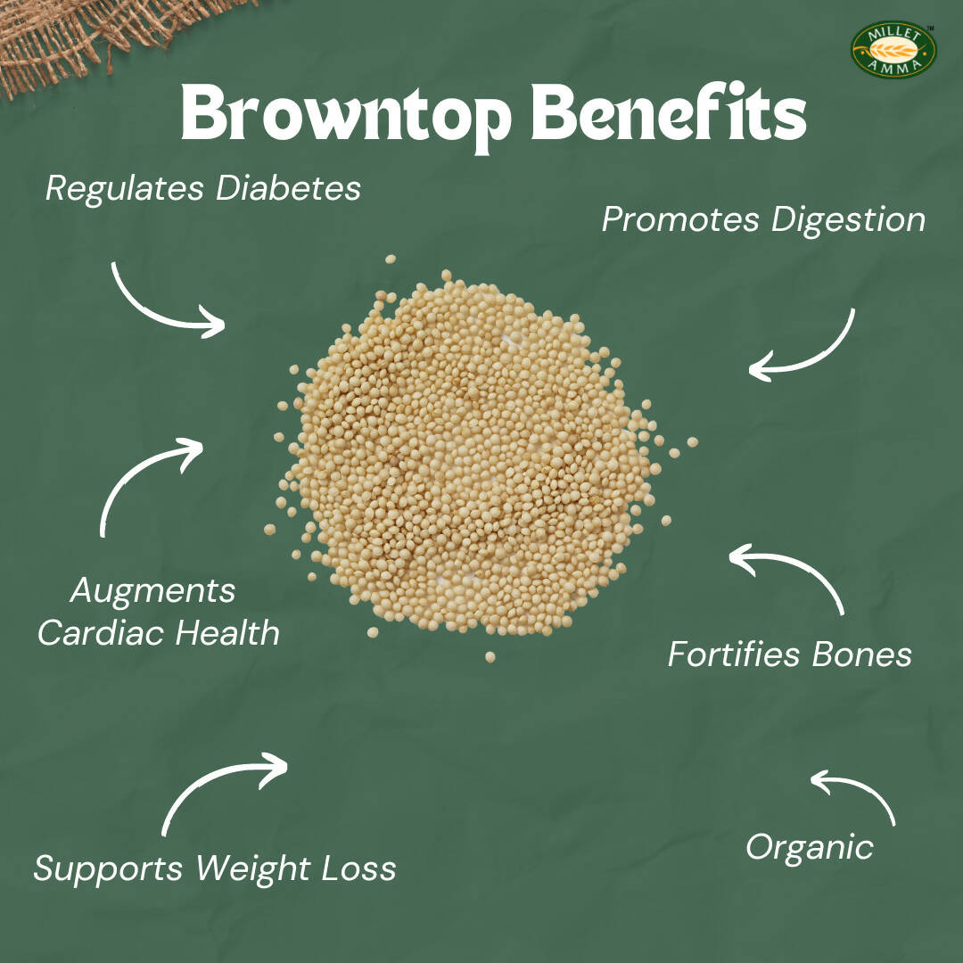 Millet Amma Organic Browntop Millet Grains - Distacart