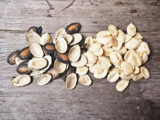 Freshon Organic Watermelon Seeds - Distacart