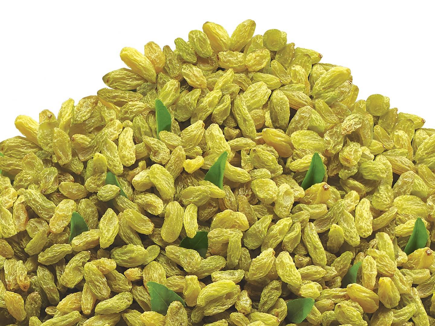 Bikanervala Kishmish (raisins) - Distacart