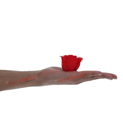 Tied Ribbons Rose Flower Artificial With Teddy - Valentines Day Gift Box - Distacart