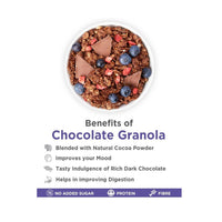 Thumbnail for True Elements Dark Chocolate Granola