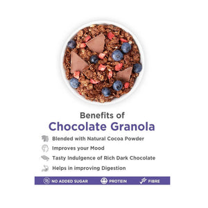 True Elements Dark Chocolate Granola