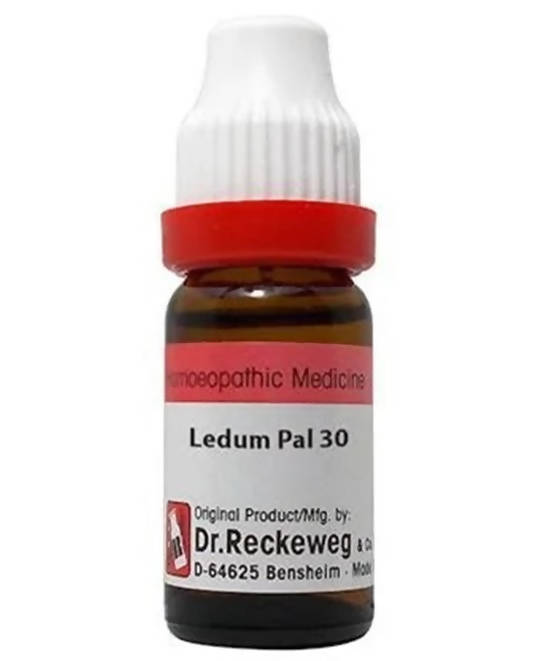 Dr. Reckeweg Ledum Pal Dilution - Distacart