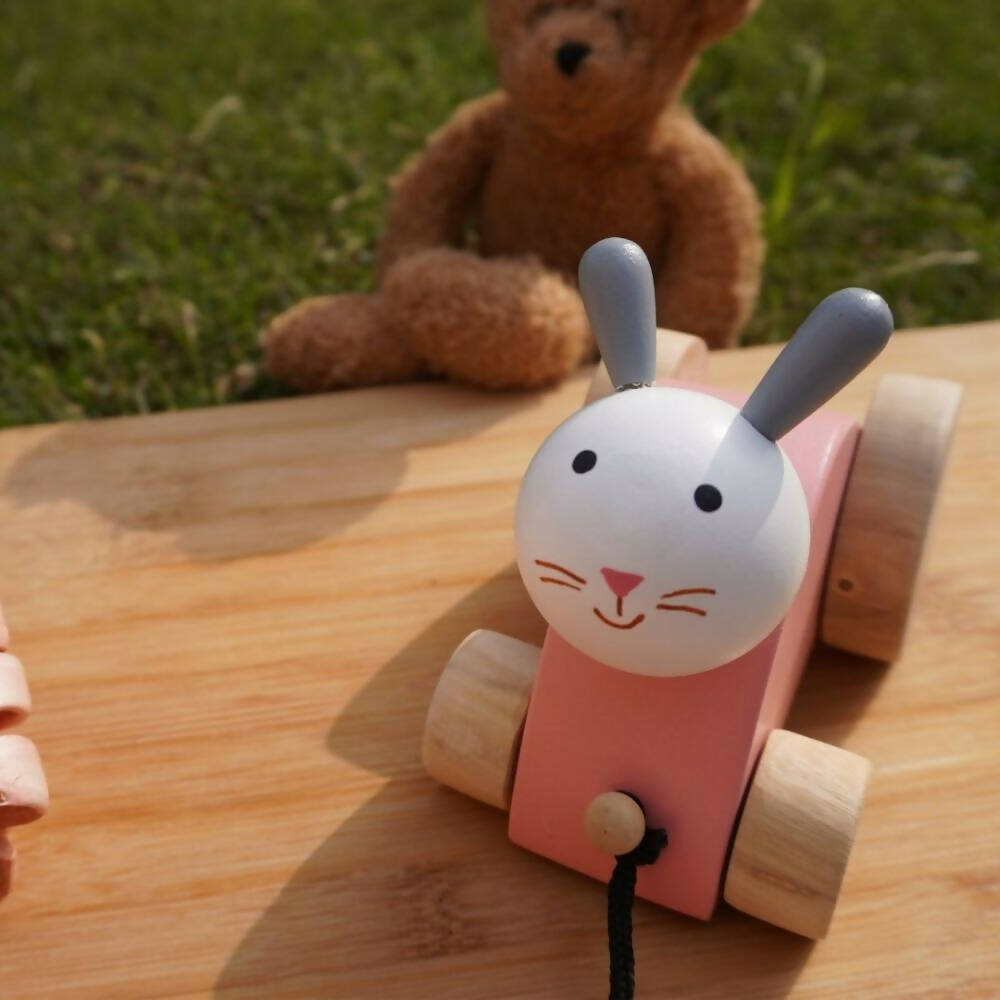 Matoyi Rabbit Wooden Pull Along Toy For Kids - Distacart