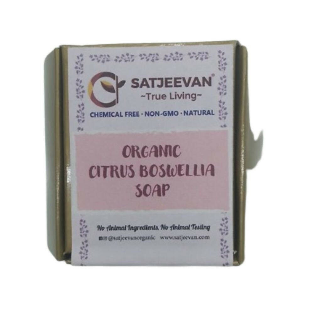 Satjeevan Organic Citrus Boswellia Soap - Distacart