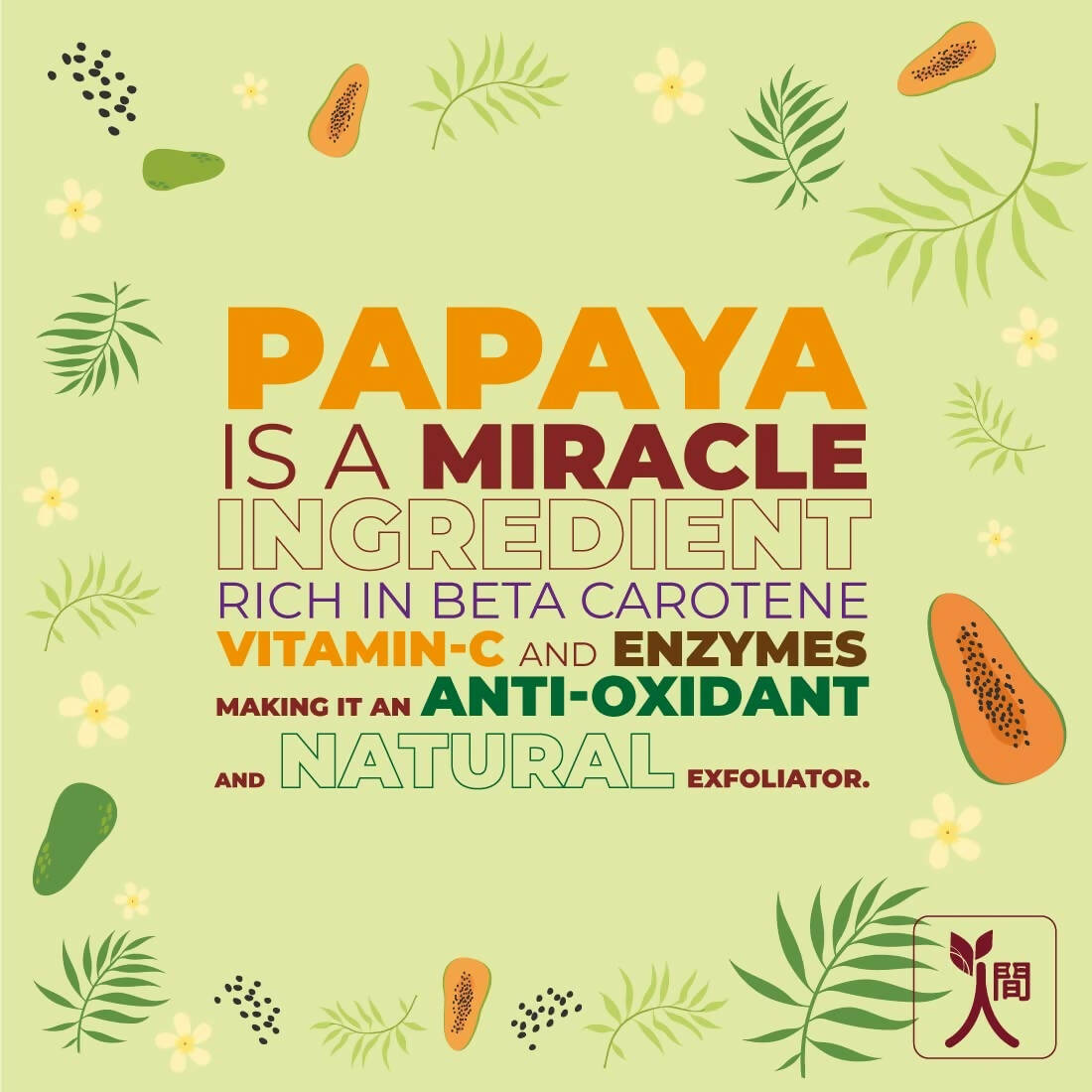 Ningen Papaya Face Wash - Distacart