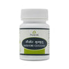 Pravek Kaishore Guggulu Tablets - Distacart