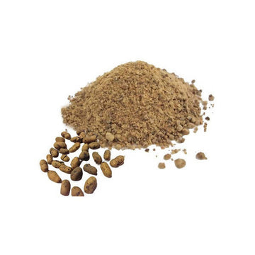 Hebsur Herbals Jamoon Powder - Distacart