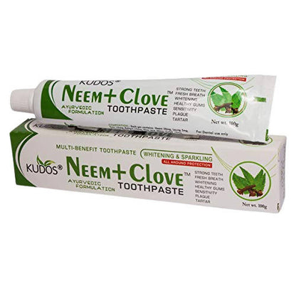 Kudos Ayurveda Neem + Clove Toothpaste